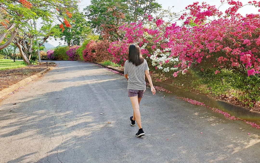 back view of a girl  doing morning walk in the road